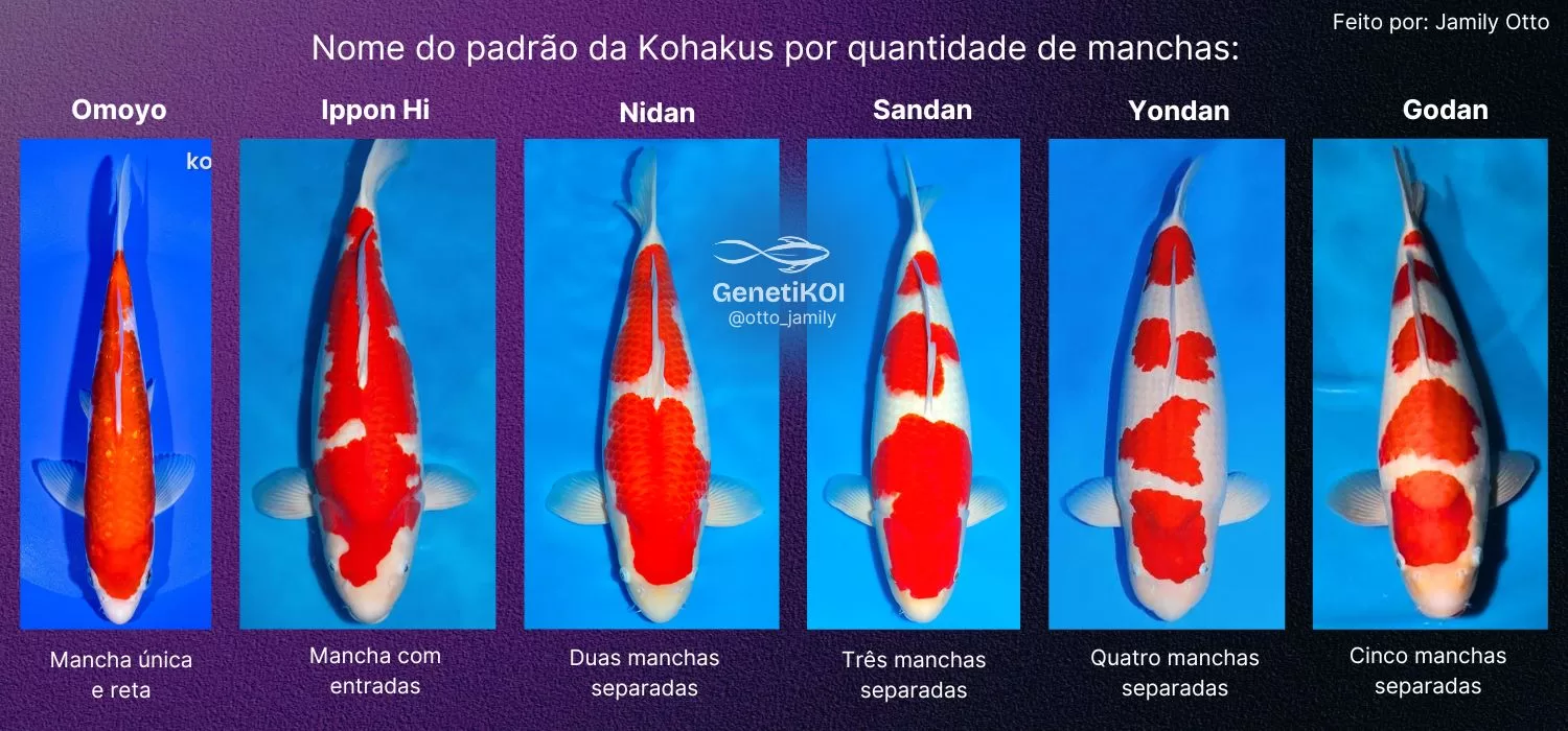 Nome dos padrões das kohakus por tipo de manchas, Omoyo, Ippon Hi, Nidan, Sandan, Yondan e Godan.